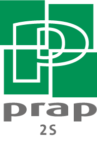 logo PRAP 2S - Prévention des Risques liés à l'Activité Physique Secteur Sanitaire-médico-Social